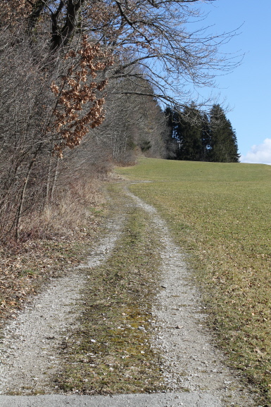 Alte Salzstraße bei Vorderburg Alte Salzstraße bei Vorderburg