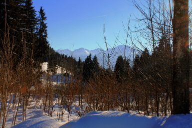 unberührte Natur unberührte Natur